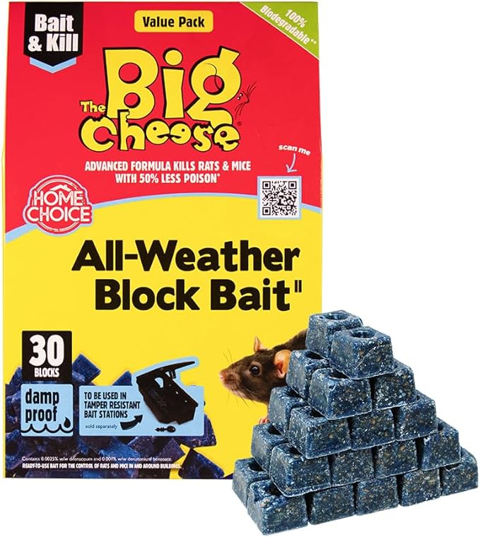 30 blocks Big Cheese 30 Blocks - Image 1