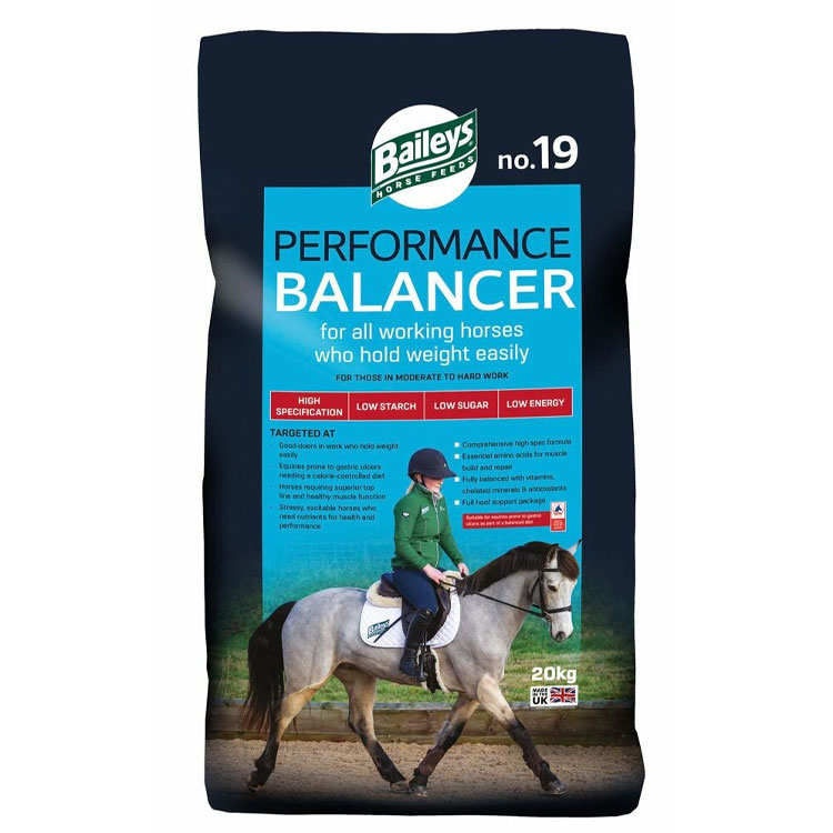Baileys-No.19-Performance-Balancer Baileys No.19 Performance Balancer - Image 1
