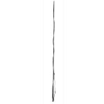 Black Lunge Whip