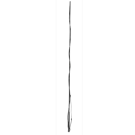 Black Lunge Whip Black Lunge Whip - Image 1