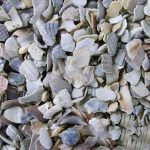 Small Grit 1KG