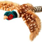 House of Paws Small Pheasant