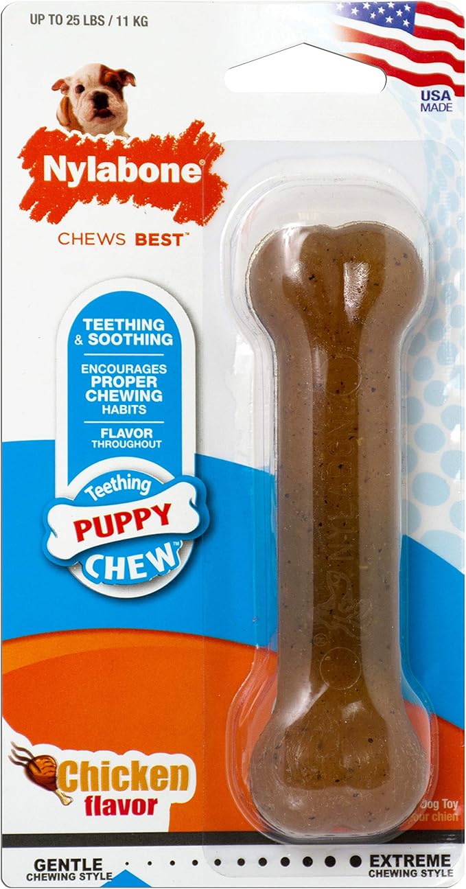Nylabone puppy Nylabone Puppy - Image 1