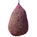 Little Piggy Net
