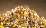 Mixed Corn - 20kg - Image 2
