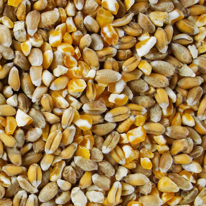 Mixed Corn - 20kg - Image 3