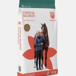Saracen Essential Balancer