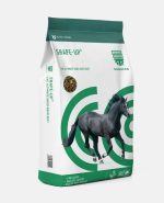 Saracen Shape Up