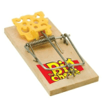Big Cheese Baited Rat Trap x2