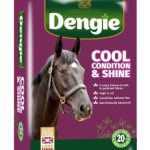 Dengie Cool Condition & Shine