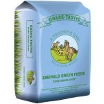 Emerald Green Grass Tastic