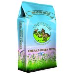 Emerald Green Meadow Magic