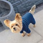 HugglePets Legacy Polar Fleece - Image 6