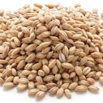 Goldthorpe Barley - 20kg