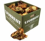 Large Knuckle Bones - Image 2