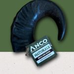 Anco Buffalo Horns