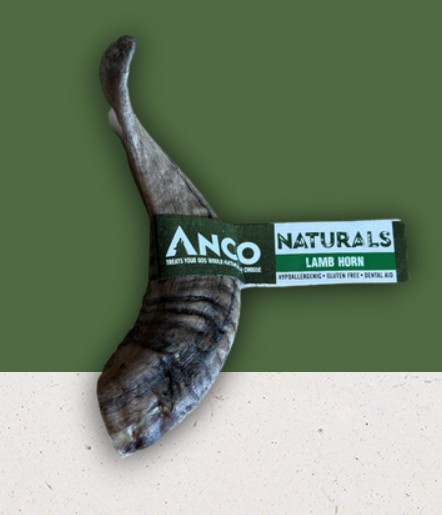 Anco lamb Horn Anco Lamb Horn - Image 1