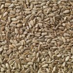 Sunflower Hearts - Various Sizes