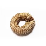 Beef Trachea Donut