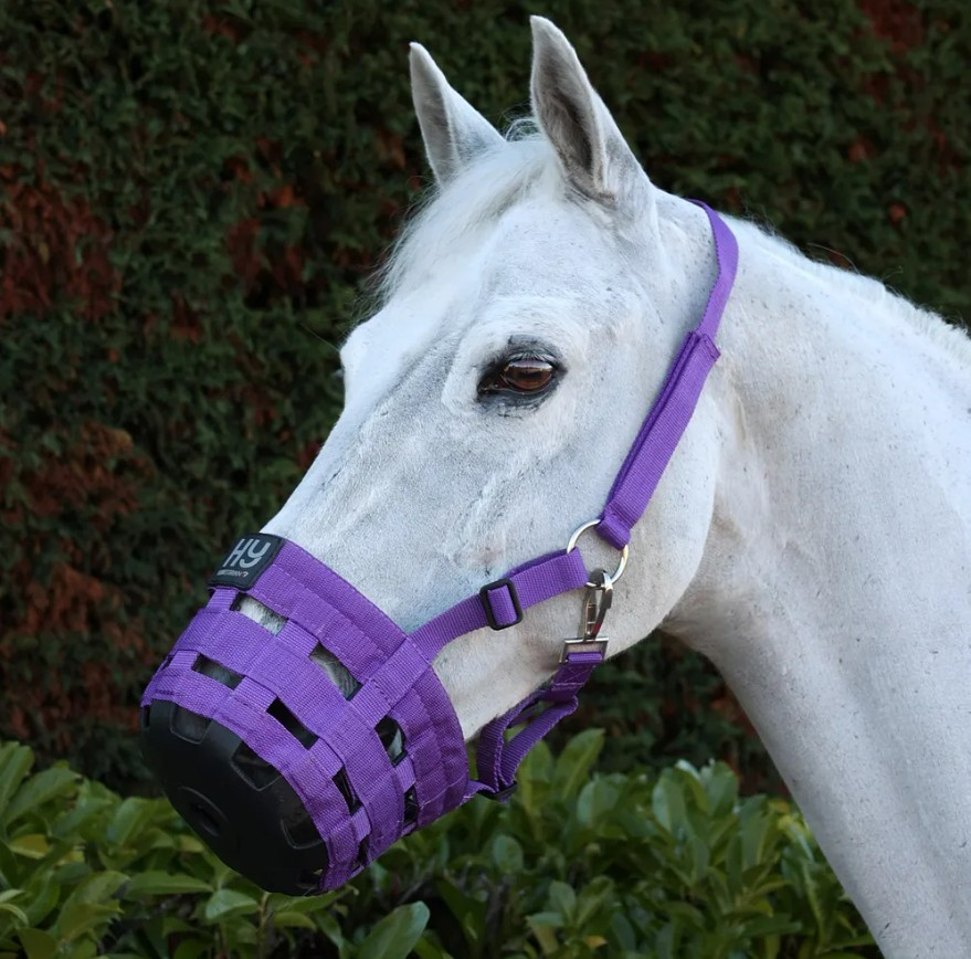 HY Grazing Muzzle purple HY Grazing Muzzle - Image 1