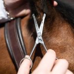 Smart Grooming 4.5" Safety Scissors