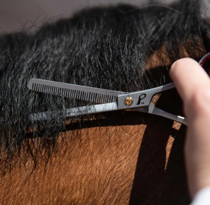 Smart Grooming 6" Single Leg Thinning Scissors - Image 3