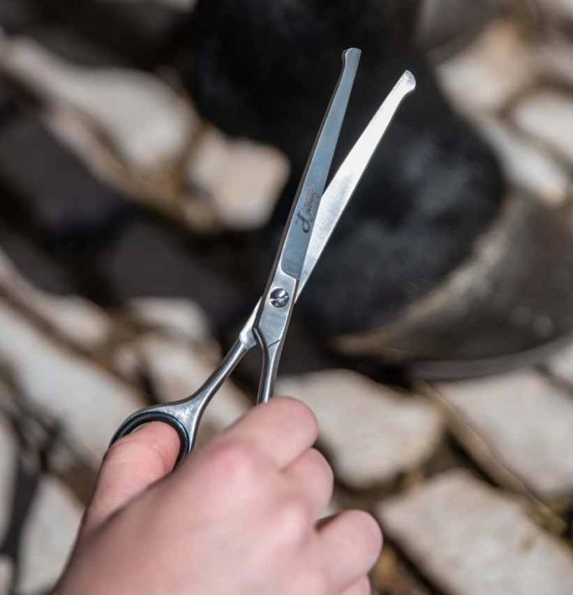Smart Grooming 6.5 Curved Safety Scissors Smart Grooming 6.5" Curved Safety Scissors - Image 1