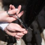 Smart Grooming 6.5" Straight Safety Scissors