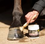 Smart Grooming Natural Hoof Shine - 425g - Image 4
