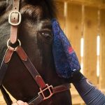 Smart Grooming Quilted Grooming Mitt - Navy - Image 3