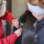 Smart Grooming Smart Tails Standard - Medium - Image 2