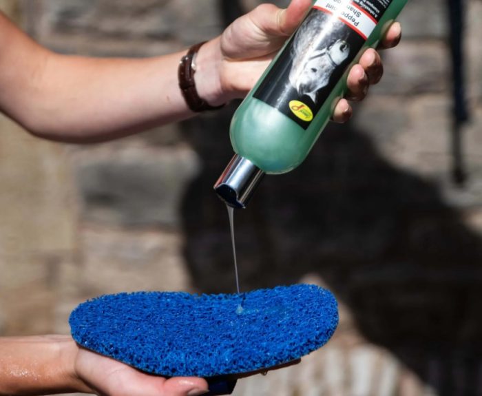 Smart Grooming Super Groomer Deluxe - Image 3