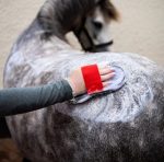 Smart Grooming Super Groomer Deluxe