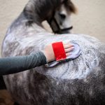 Smart Grooming Super Groomer Deluxe