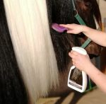Smart Grooming Tame the Mane - 500ml - Image 4
