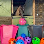 Wall Mounted Hay Feeder - Various Colours