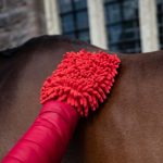 Smart Grooming Microfibre Grooming Mitt
