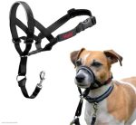 Halti Headcollar - Image 2