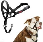 Halti Headcollar - Image 3