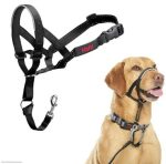 Halti Headcollar - Image 4