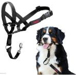 Halti Headcollar - Image 5