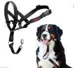 Halti Headcollar - Image 6
