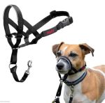 Halti Headcollar