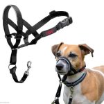 Halti Headcollar
