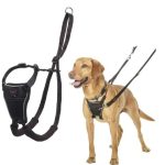 Halti No Pull Harness (Medium)