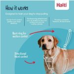 Halti No Pull Harness (Large) - Image 2
